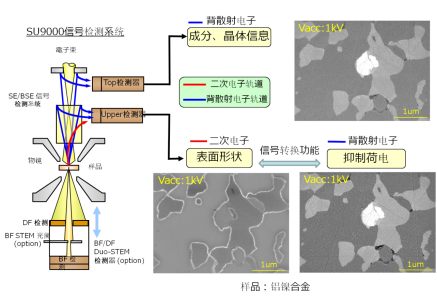 日立场高分辨率电子显微镜SU9000II 日立场高分辨率电子显微镜SU9000II