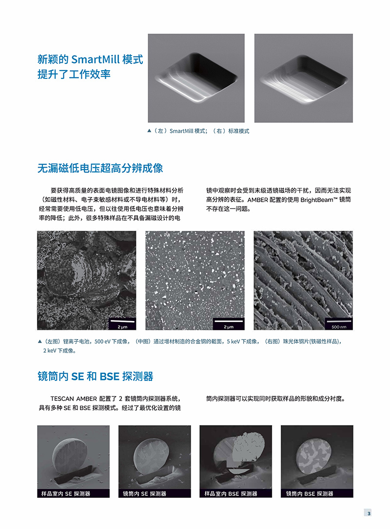 泰斯肯（TESCAN)