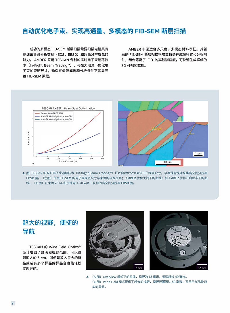 泰斯肯（TESCAN)
